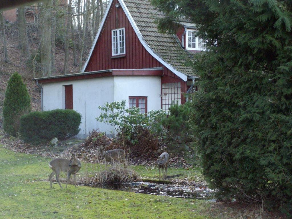 Skovvej Holiday House 1 Vila Randers Exterior foto